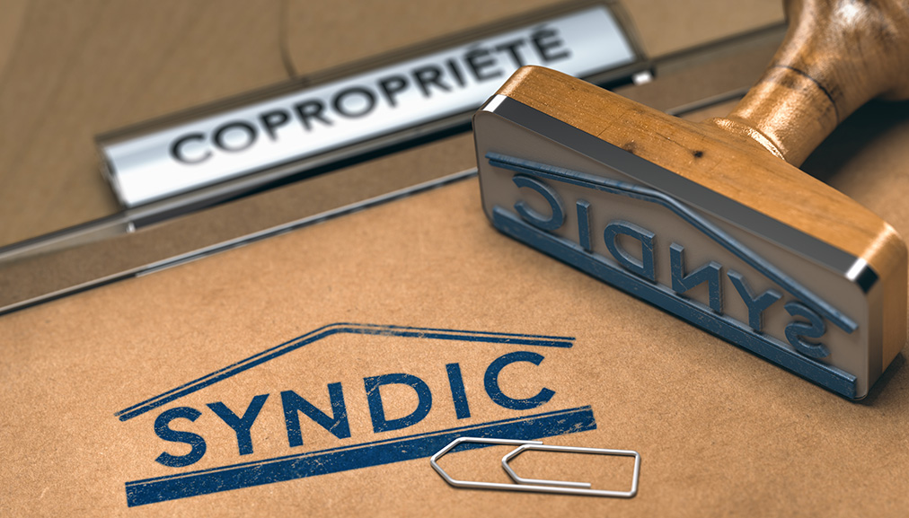 TOUT SAVOIR SUR LE SYNDIC EN 6 POINTS