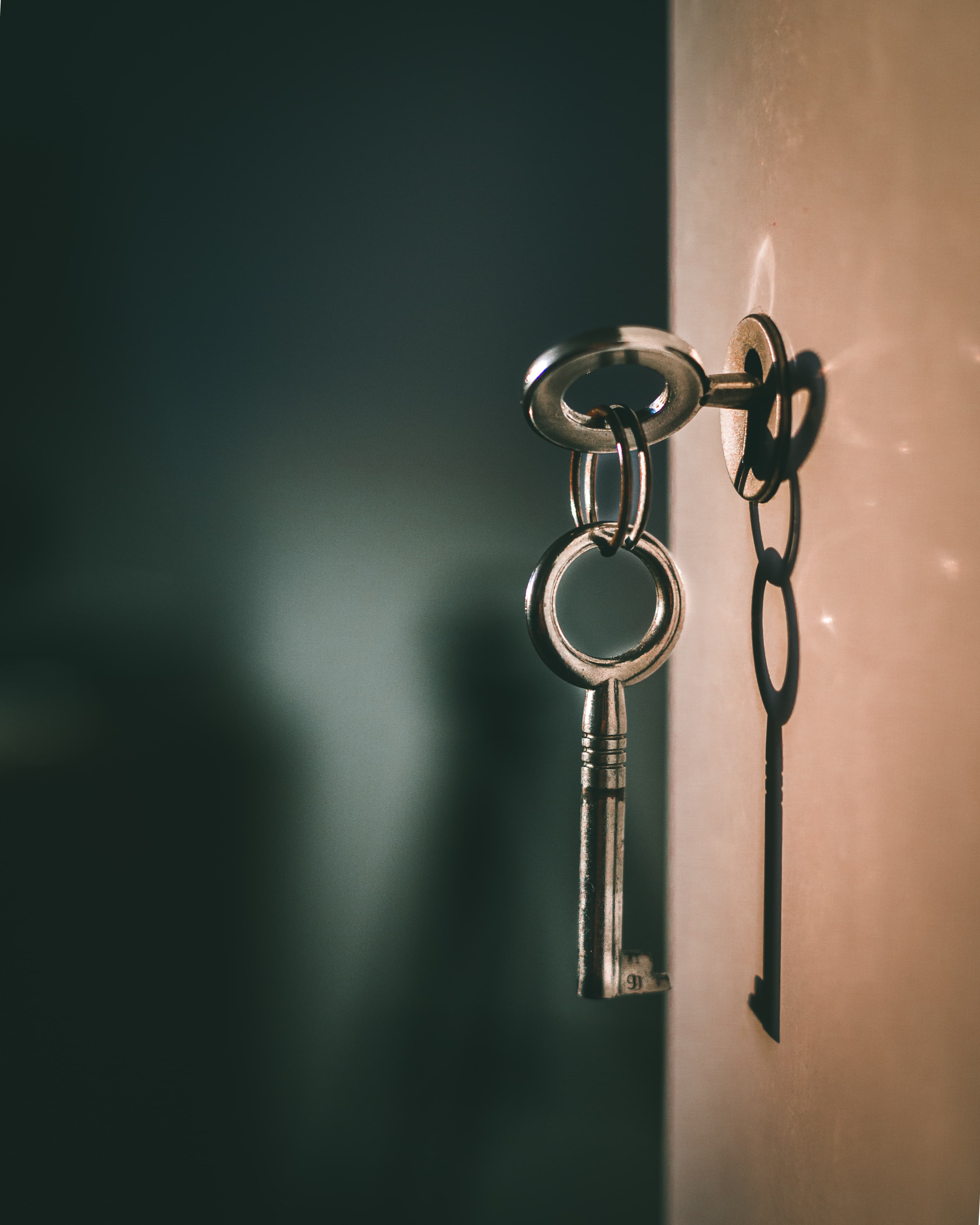 garantie visale accès logement