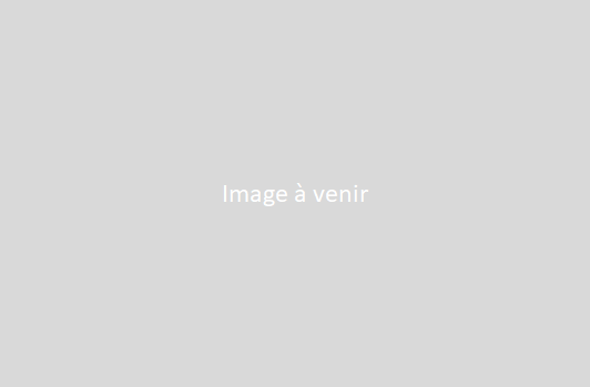 Les candidatures des locataires intérimaires